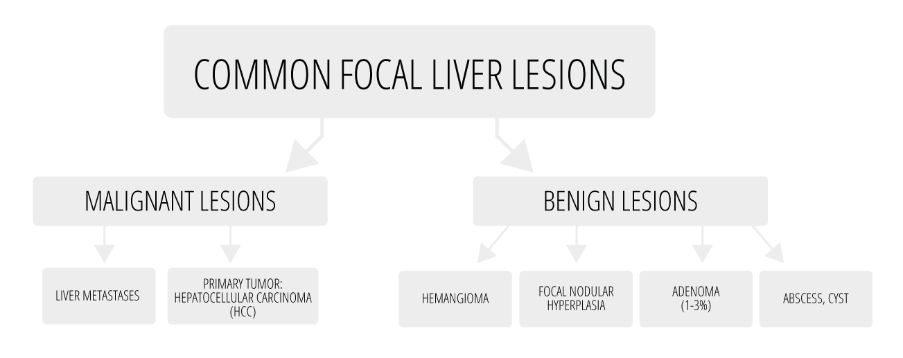 Common Focal Liver Lesions - Malignant lesions & Benign lesions